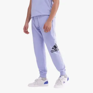 Adidas Mens Bl Ft Pt4 Pants Pre Purple