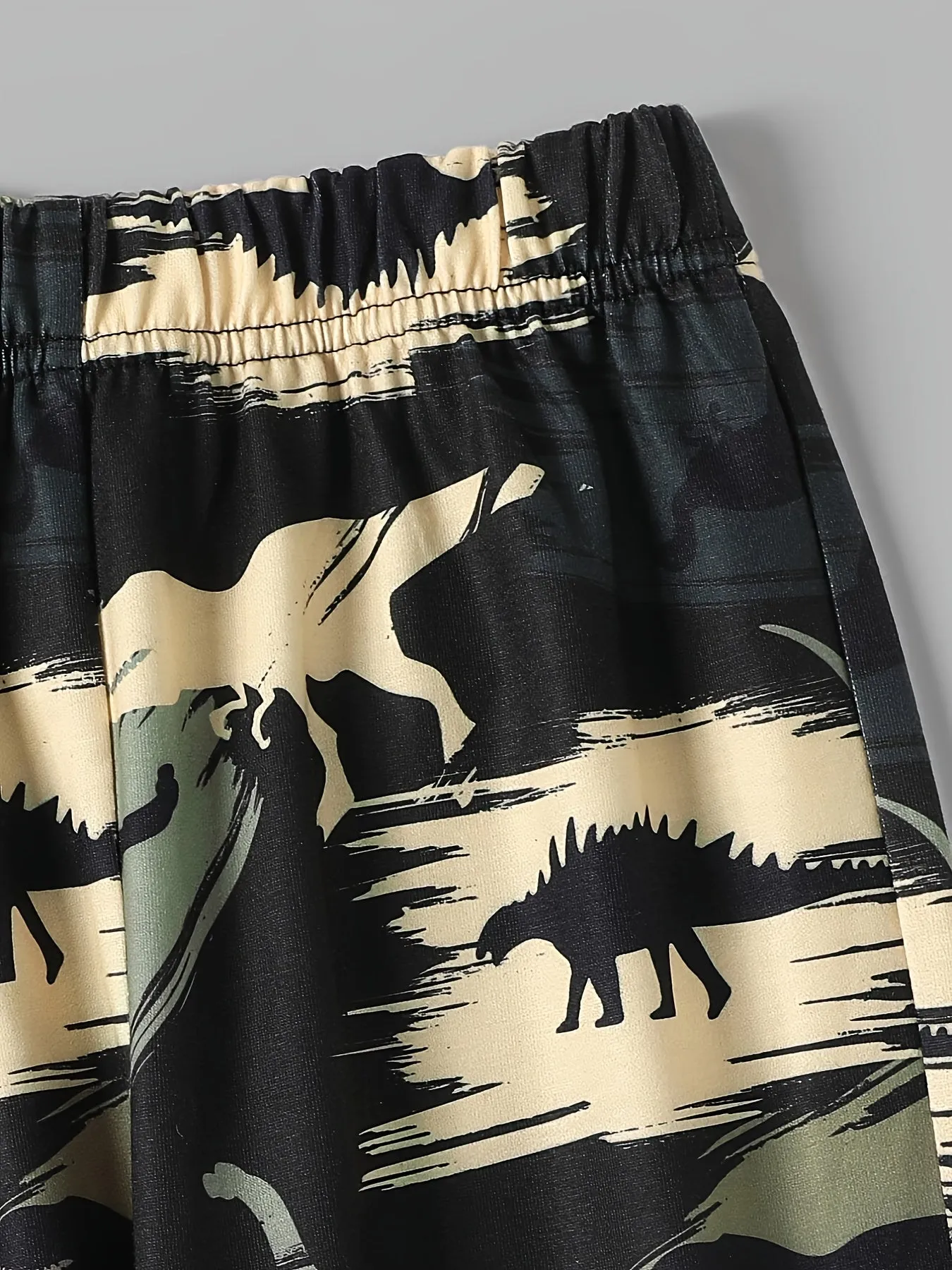 Boys' Dinosaur Print Hoodie and Sweatpants Set