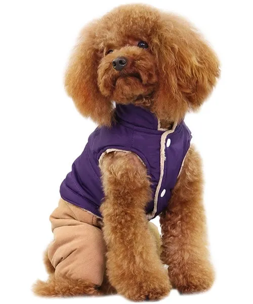 Corduroy Pants Purple