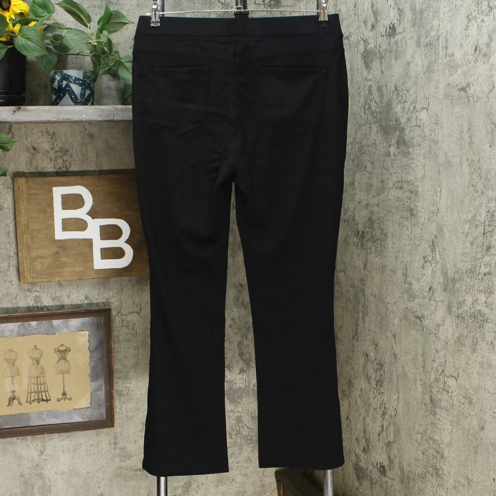 DG2 by Diane Gilman Women's Petite Eco Stretch Ponte Boot Cut Pants