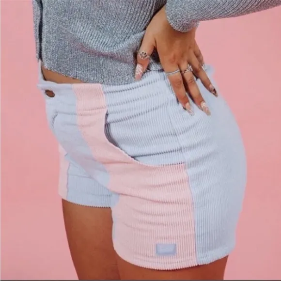 Hammies Two Toned Powder Blue &amp; Pink Corduroy Shorts Retro 70’s Sz 36