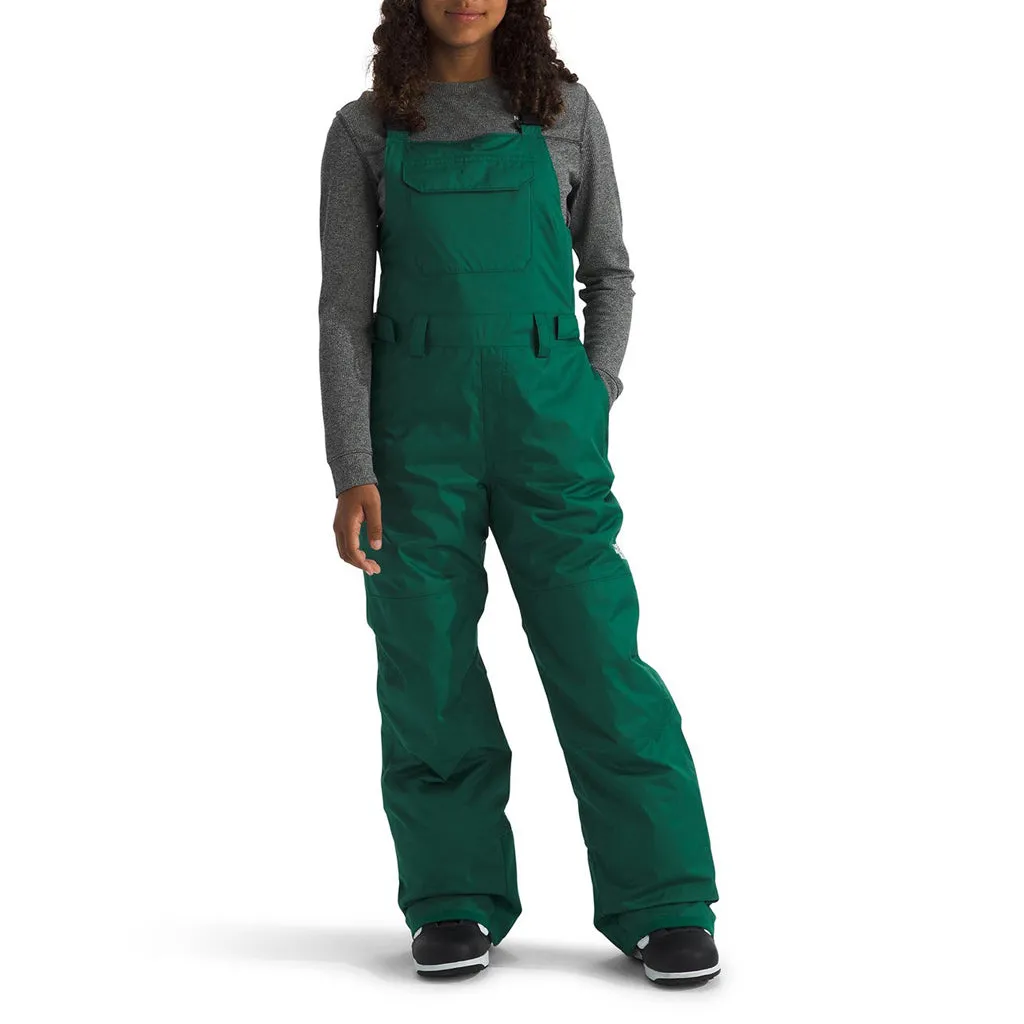 North Face Freedom Insulated Bib Teen 2025