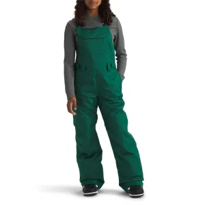 North Face Freedom Insulated Bib Teen 2025
