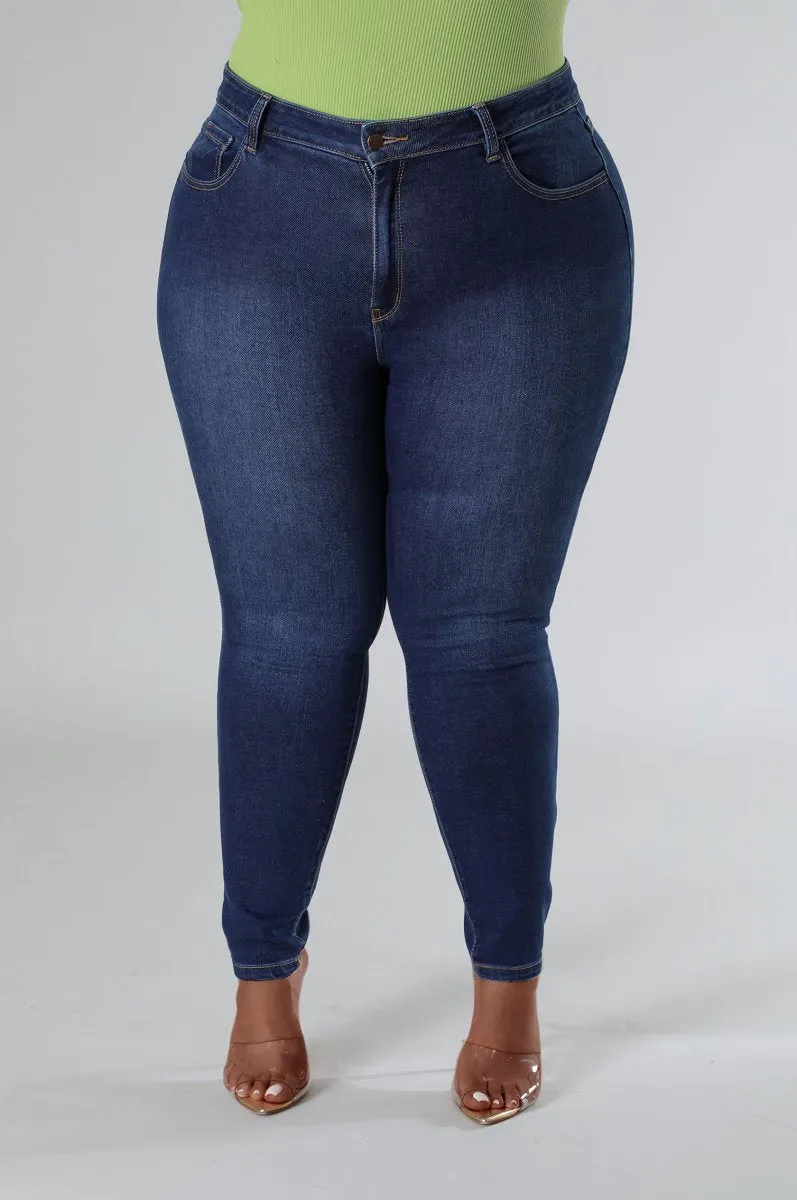 Plus Size Got It All Jeans