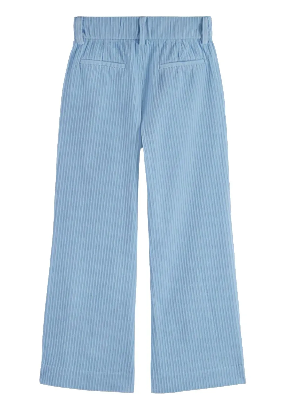 Scotch & Soda Pleated Wide Leg Corduroy Pants