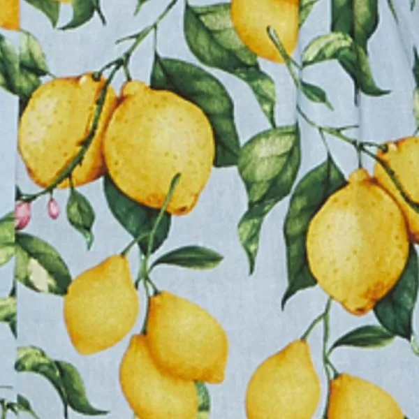 Skye Lemon Print Jogger Style Pants