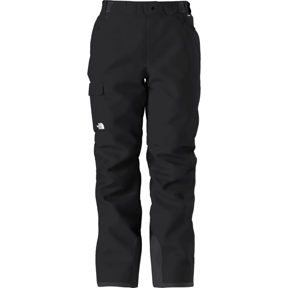 The North Face Men's Freedom Insulated Pant 2025